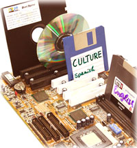 "Culture as the Software of the Mind"